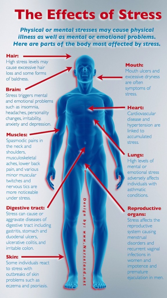 Health Stress Throughout The Body Infographic 2ndAct Health 